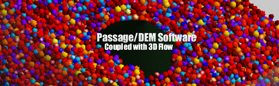 Passage DEM Software