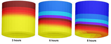 freeze drying process