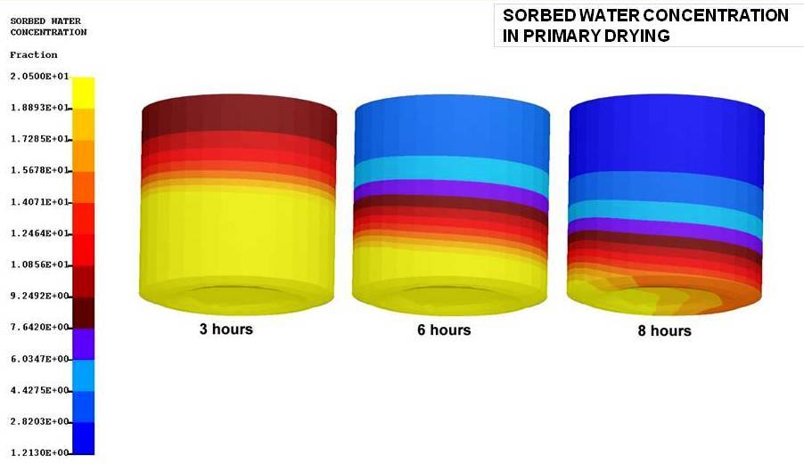 concentration in primary drying